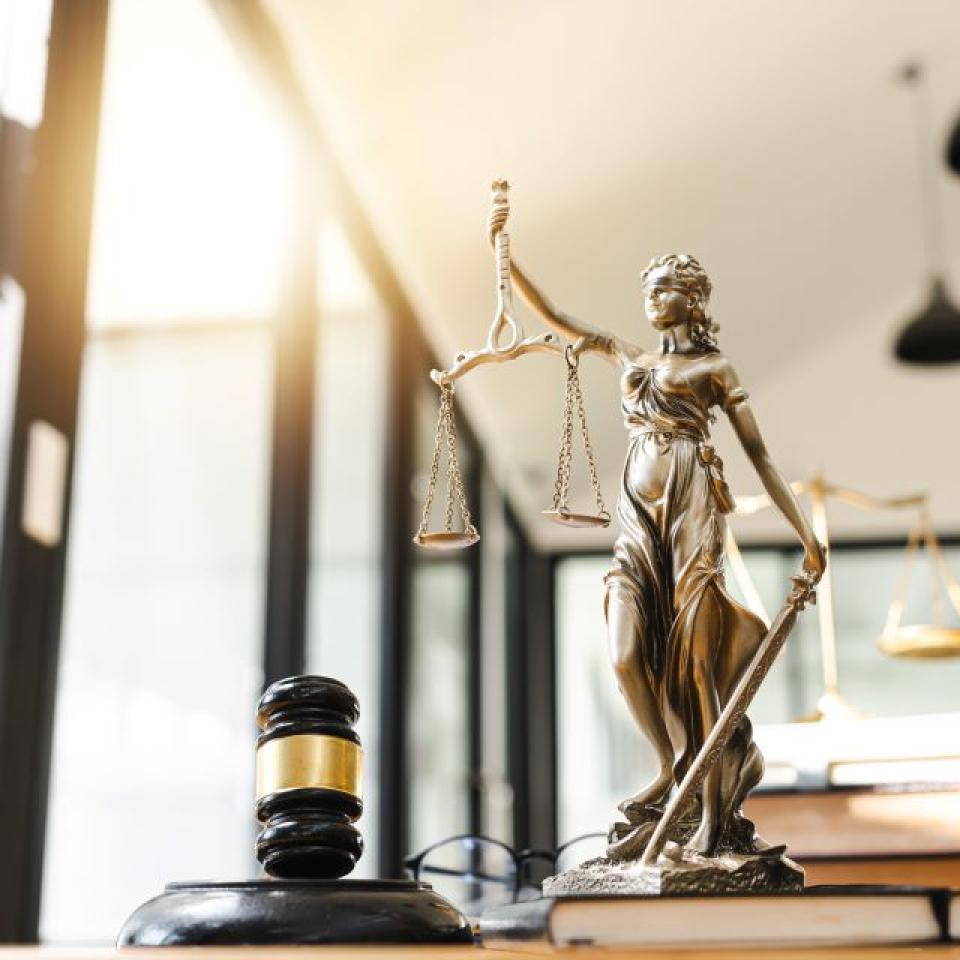 Role avocat litige immobilier